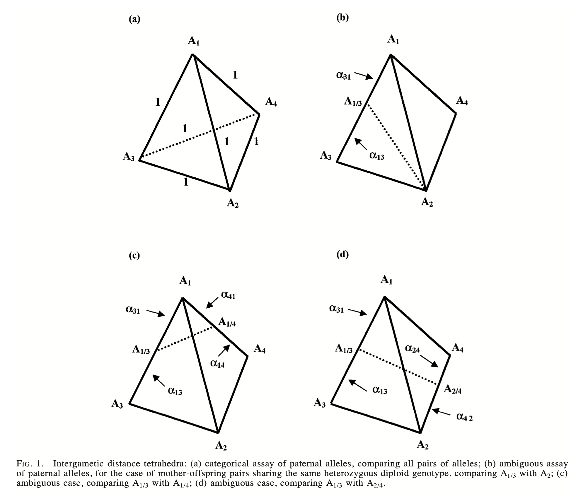 Two-generation analysis of pollen flow across a landscape. I. Male gamete heterogeneity among females