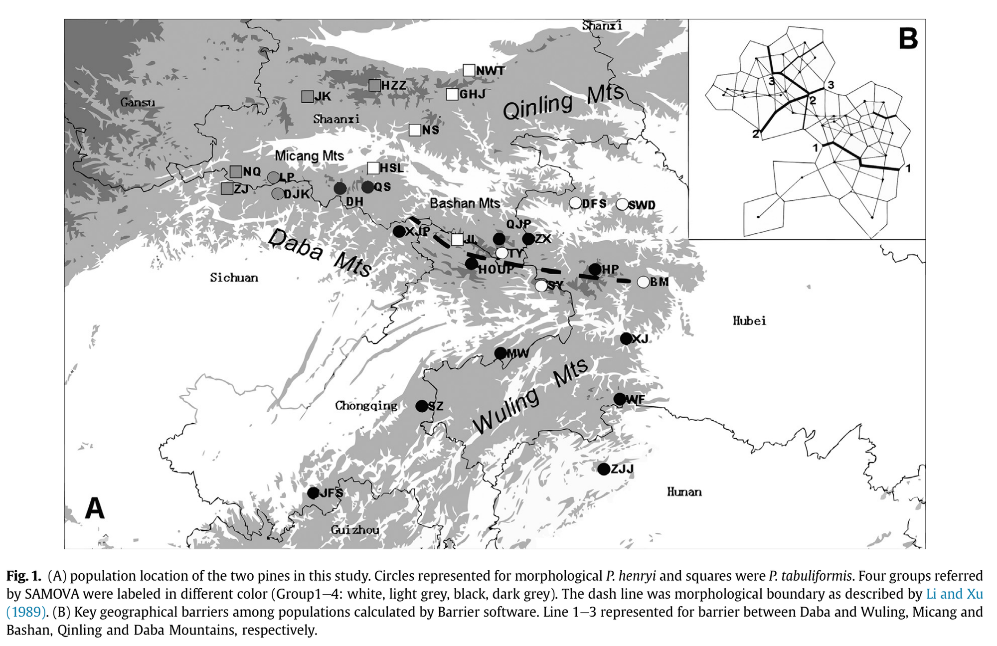 Genetic structure of Pinus henryi and Pinus tabuliformis: Natural landscapes as significant barriers to gene flow among populations