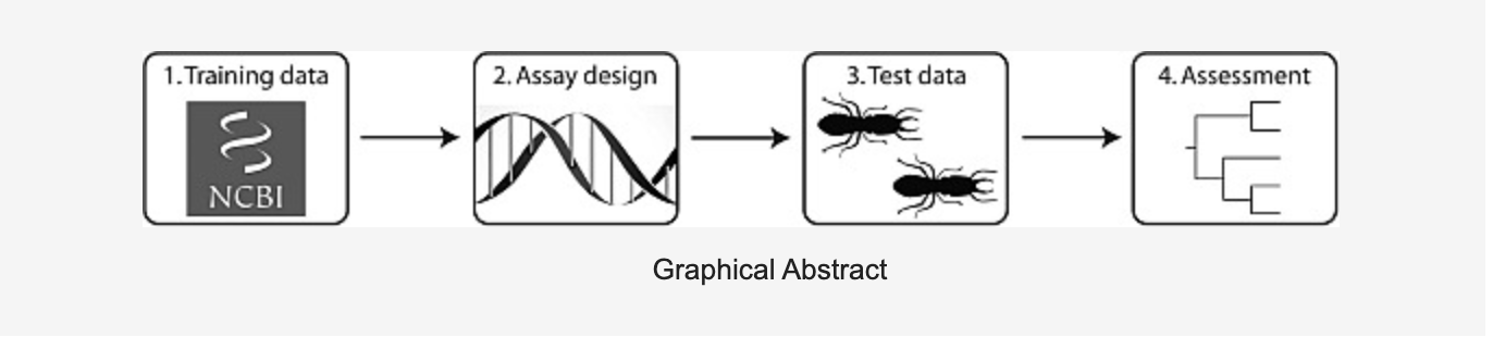 Identification of Eastern United States Reticulitermes Termite Species via PCR-RFLP, Assessed Using Training and Test Data