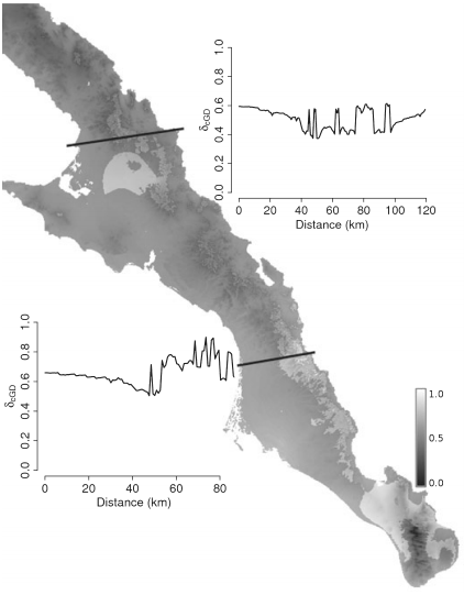 Landscape modeling of gene flow: improved power using conditional genetic distance derived from the topology of population networks