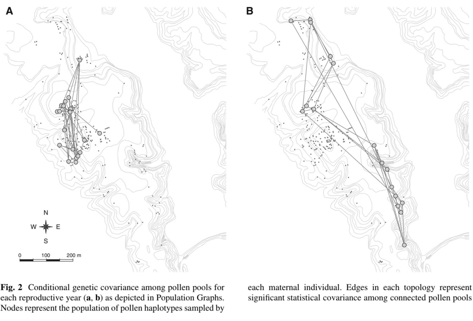 Pollination graphs: quantifying pollen pool covariance networks and the influence of intervening landscape on genetic connectivity in the North American understory tree, Cornus florida L.