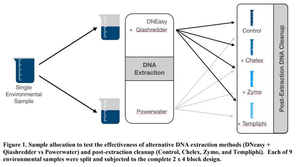 Refining Environmental DNA (eDNA) Protocols developed for the James River Spinymussel (Pleurobema collina)