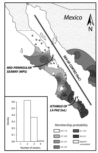 Not just vicariance: phylogeography of a Sonoran Desert euphorb indicates a major role of range expansion along the Baja peninsula