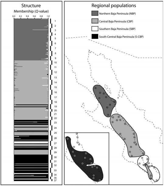 Ecological co-associations influence species’ responses to past climatic change: an example from a Sonoran Desert bark beetle.