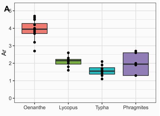 Genetic Diversity and Connectivity in Plant Species Differing in Clonality and Dispersal Mechanisms in Wetland Island Habitats