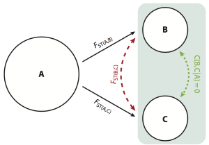 Population Graphs and Landscape Genetics