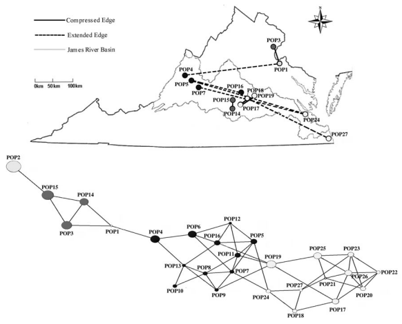 Invasion genetics of Microstegium vimineum (Poaceae) within the James River Basin of Virginia, USA